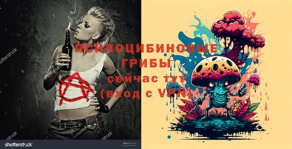 сатива Балахна